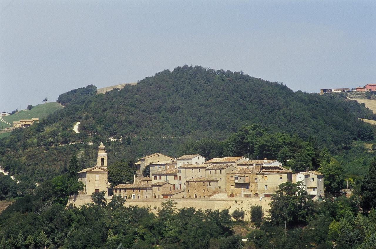 Agriturismo Pozzuolo Serrungarina Kültér fotó