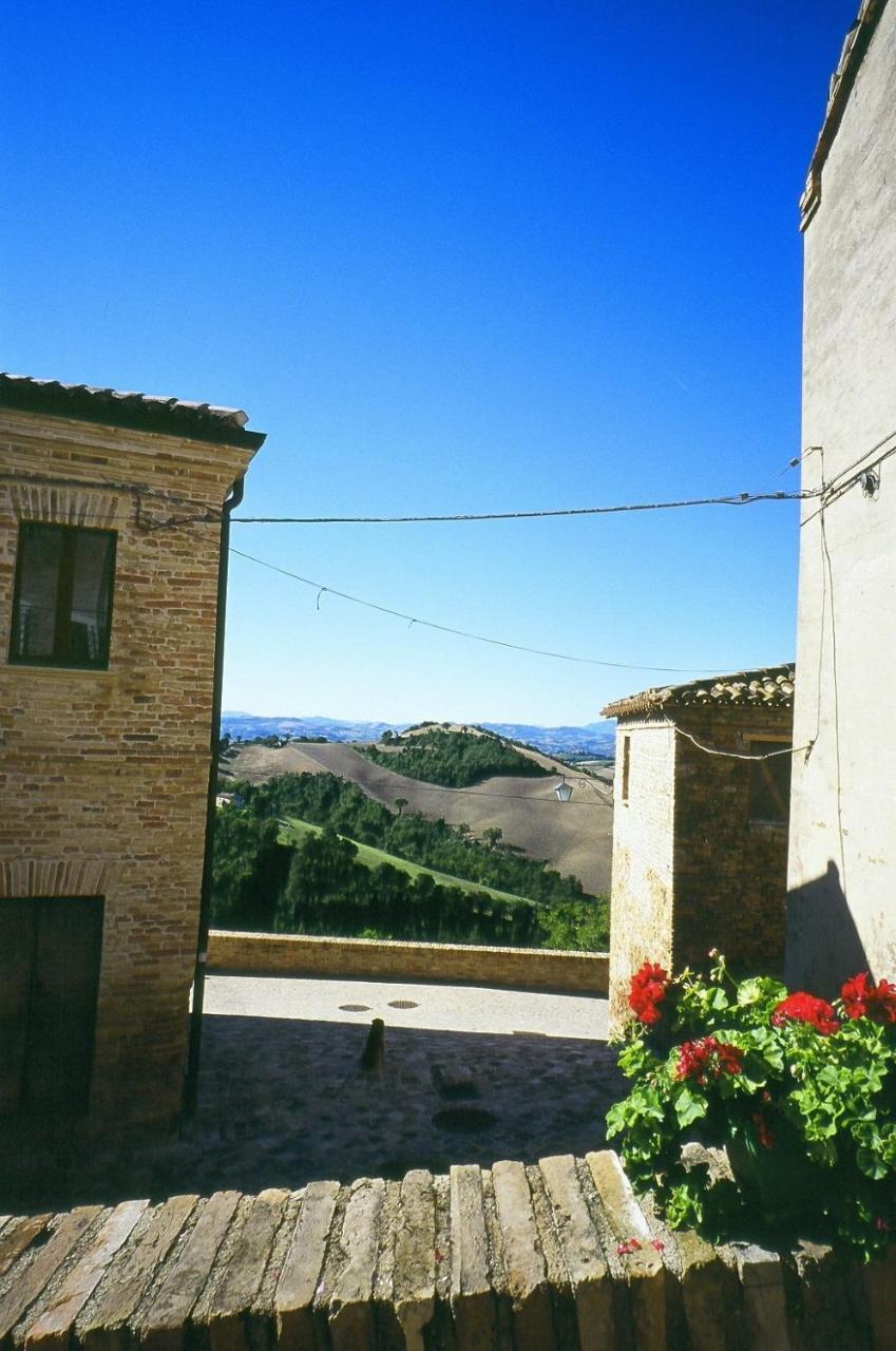 Agriturismo Pozzuolo Serrungarina Kültér fotó