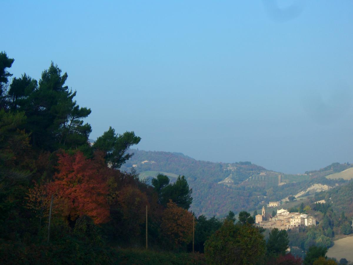 Agriturismo Pozzuolo Serrungarina Kültér fotó