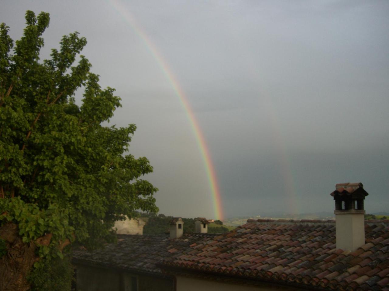 Agriturismo Pozzuolo Serrungarina Kültér fotó