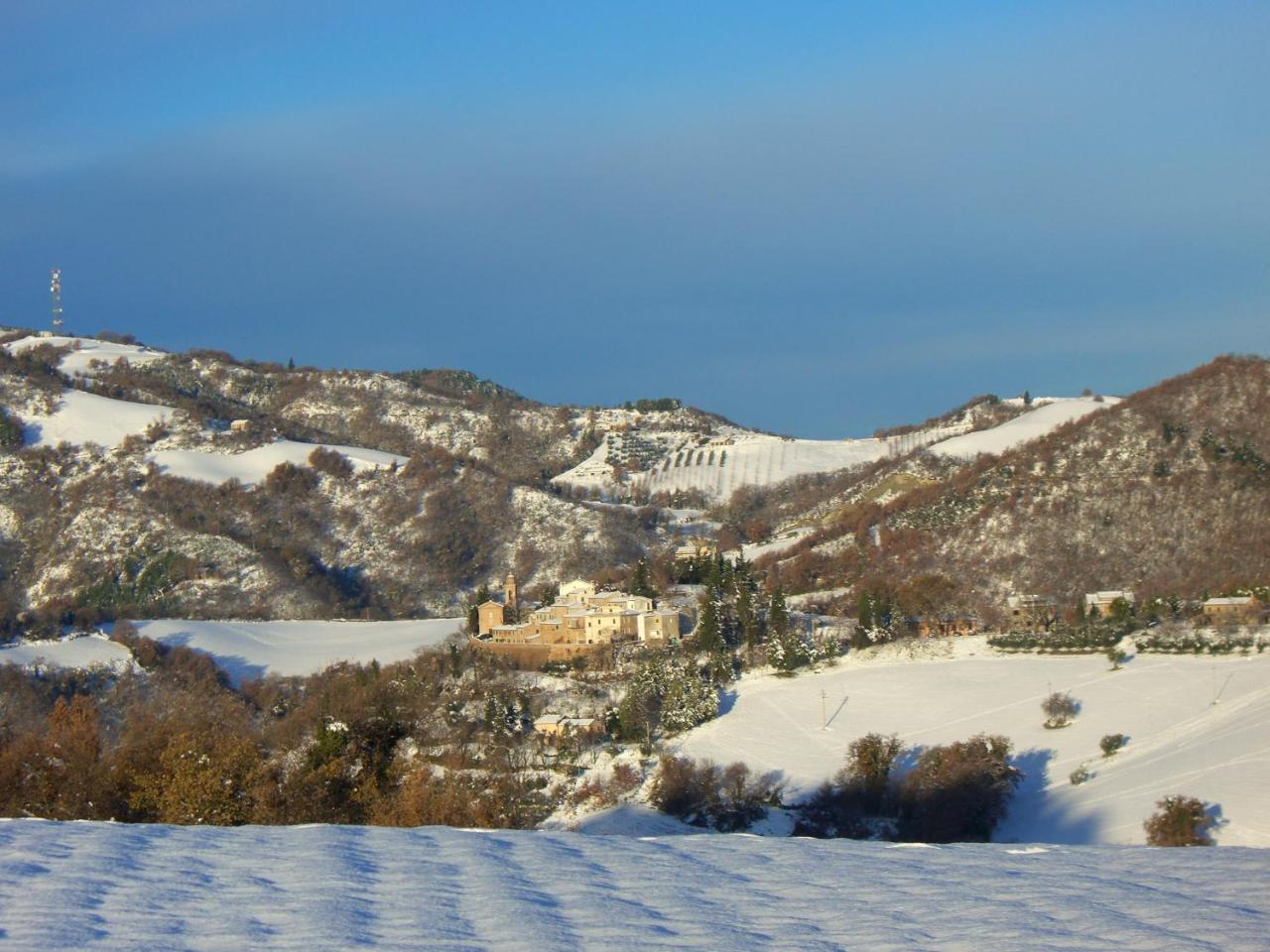 Agriturismo Pozzuolo Serrungarina Kültér fotó
